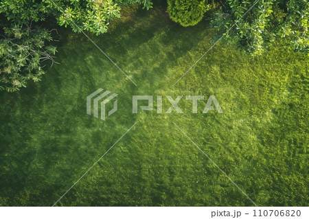 芝生の背景 AI生成画像 AI画像 芝生の背景 AI生成画像 AI画像 110706820