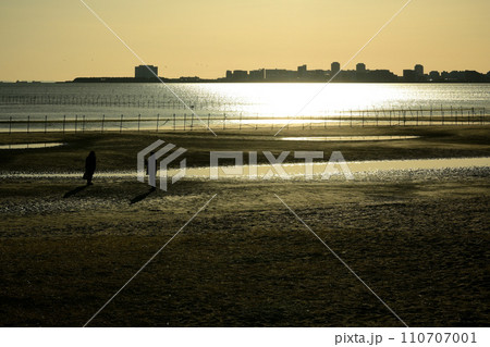 船橋三番瀬夕景 船橋三番瀬夕景 110707001