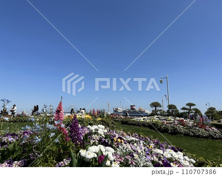 山下公園の花壇と氷川丸 山下公園の花壇と氷川丸 110707386