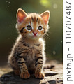 可愛い子猫001 110707487