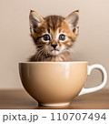 テーブルにのった子猫001 110707494