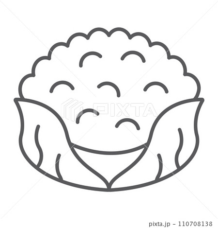 Cauliflower thin line icon, food and organic, vegetable sign, vector graphics, a linear pattern on a white backgrond. Cauliflower thin line icon, food and organic, vegetable sign, vector graphics, a linear pattern on a white backgrond. 110708138