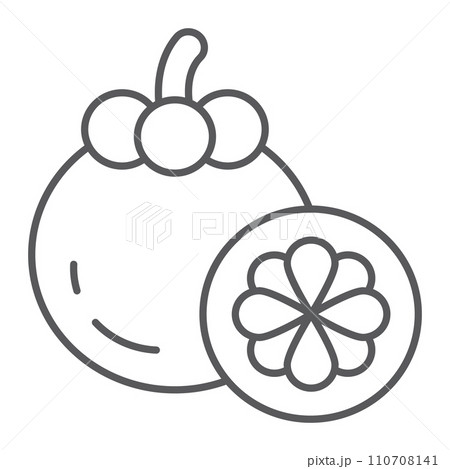 Mangosteen thin line icon, food and vitamin, exotic fruit sign, vector graphics, a linear pattern on a white backgrond. 110708141