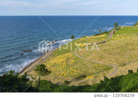 白米千枚田 110708239