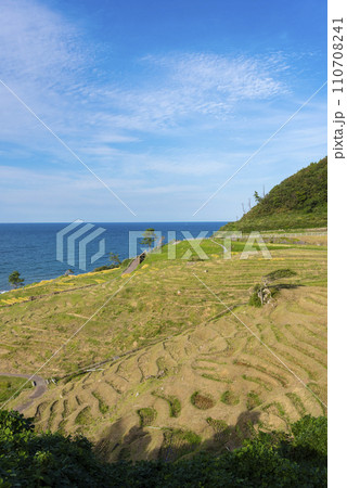 白米千枚田 110708241