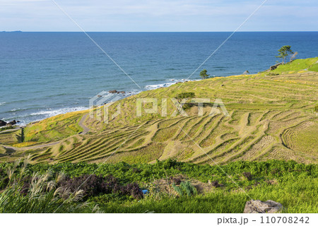 白米千枚田 110708242