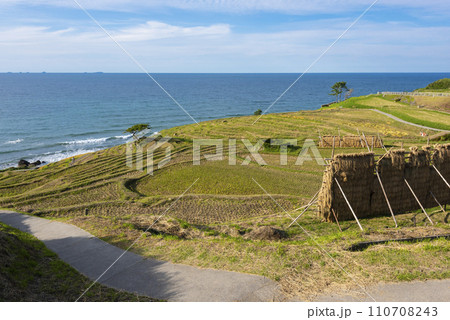 白米千枚田 110708243
