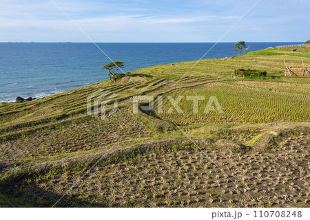 白米千枚田 110708248