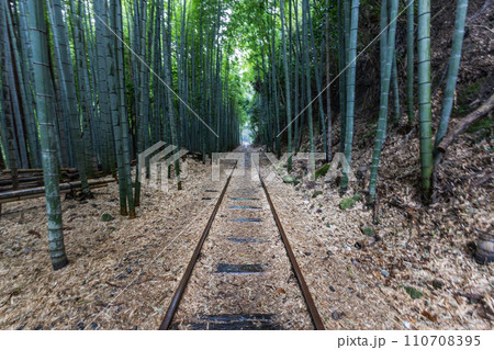 森の中の廃線レール　Abandoned railway line in the forest 110708395