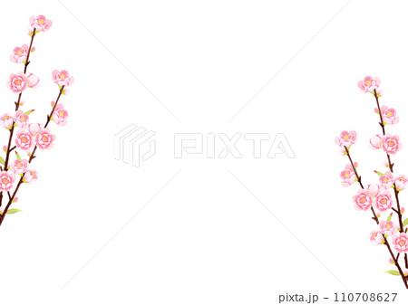 桃の花 水彩イラスト 桃の花 水彩イラスト 110708627