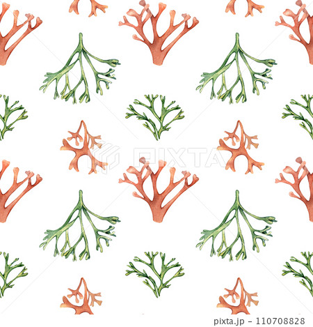 Watercolor seamless pattern of sea plants, coral isolated on white. Pink palmata seaweed hand drawn. Painted codium, dulse. Design element for package, textile, paper, packaging, marine collection Watercolor seamless pattern of sea plants, coral isolated on white. Pink palmata seaweed hand drawn. Painted codium, dulse. Design element for package, textile, paper, packaging, marine collection 110708828
