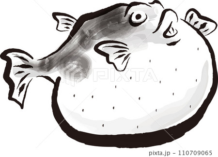 ふぐのイラスト 墨絵風 ふぐのイラスト 墨絵風 110709065