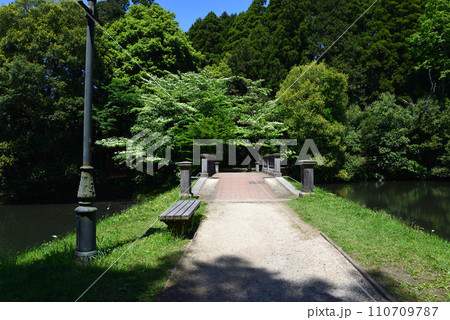 七ツ洞公園　2023-5-4　＃6 110709787