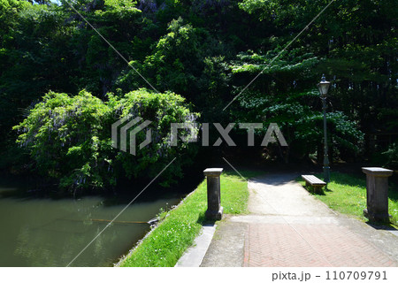 七ツ洞公園 2023-5-4 #10 七ツ洞公園 2023-5-4 #10 110709791