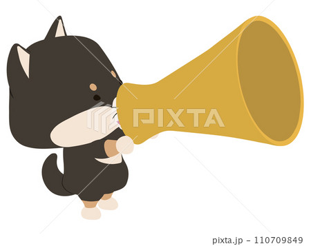 メガホンで話す黒柴 メガホンで話す黒柴 110709849