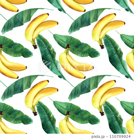 Watercolor seamless pattern with banana tree leaves and yellow fruit, berry banana. Hand drawn illustration isolated on white background. For wrapping wallpaper fabric textile. Watercolor seamless pattern with banana tree leaves and yellow fruit, berry banana. Hand drawn illustration isolated on white background. For wrapping wallpaper fabric textile. 110709924