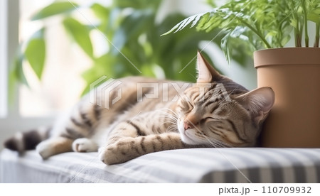 AI-generated content. Domestic cat pet sleeping on the gray bed with many green house plants 110709932