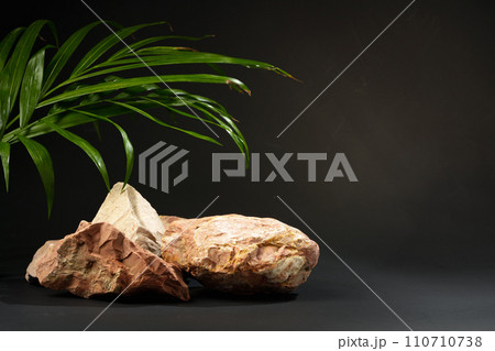 Granite stone with branch green leaf on dark gray background 110710738