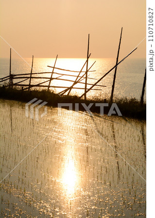 輪島の日本海に面した水田 輪島の日本海に面した水田 110710827