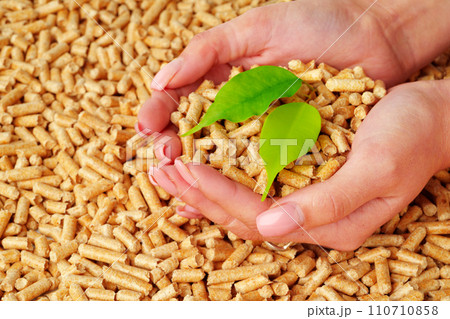 Human hands holding wooden pellets biofuel studio shot Human hands holding wooden pellets biofuel studio shot 110710858