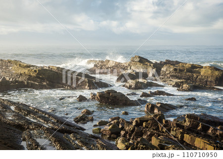 荒波の自然風景｜犬吠埼灯台下の砂岩泥岩互層（銚子層群） 110710950