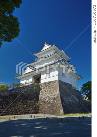 相模国「小田原城」青空と天守閣 相模国「小田原城」青空と天守閣 110710972