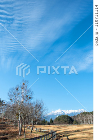 紅葉が終わり冠雪の御嶽山を望む初冬の開田高原　 110711114