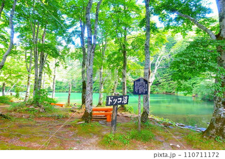 ドッコ沼 蔵王 新緑 ドッコ沼 蔵王 新緑 110711172