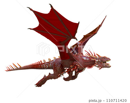 ドラゴン 110711420