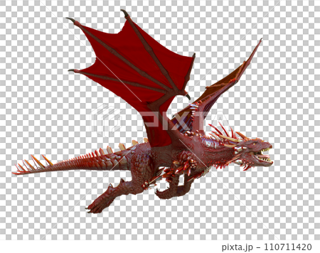 ドラゴン 110711420