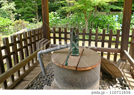 日蓮宗 本土寺 乳出の御霊水 千葉県松戸市 日蓮宗 本土寺 乳出の御霊水 千葉県松戸市 110711656