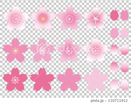 桜素材 110711912