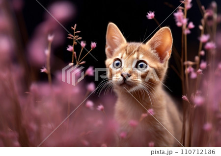 Close-up of cute cat gazing at something with beautiful bokeh background, Generative AI 110712186