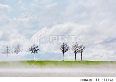 メルヘンの丘 110714158