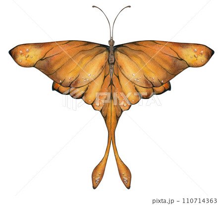 Hand drawn watercolor illustration butterfly fairy wings gem crystal insect moth. Amber sardonyx onyx topaz jasper. Single object isolated on white background. Design print, shop, wedding, birthday 110714363