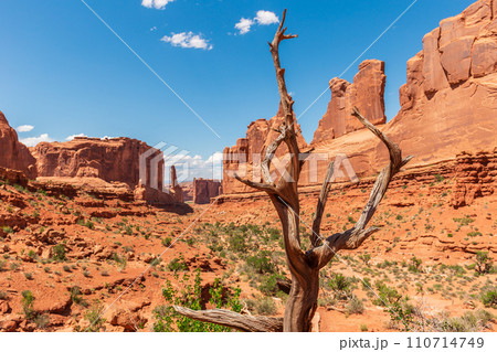 Park Avenue Trail at Arches National Park in Utah Park Avenue Trail at Arches National Park in Utah 110714749