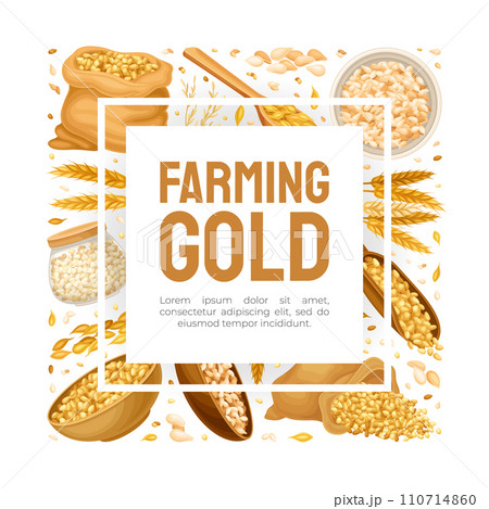 Grain Cereal Banner Design with Natural Crop Harvest Vector Template 110714860