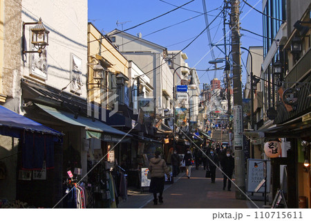 ひぐらしの里 谷中ぎんざ　谷中銀座商店街 110715611