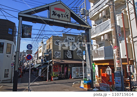 ひぐらしの里 谷中ぎんざ　谷中銀座商店街 110715614