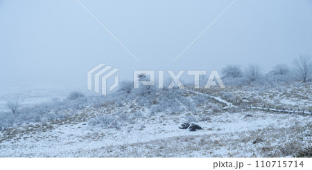 雪景色の高原の木道 雪景色の高原の木道 110715714