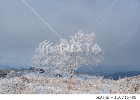 雪景色の高原の霧氷 110715789
