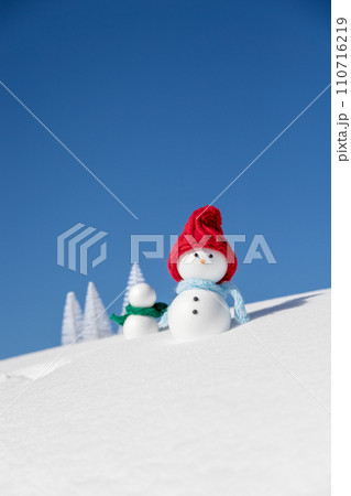 雪だるまの親子 雪だるまの親子 110716219