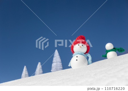 雪だるまの親子 雪だるまの親子 110716220