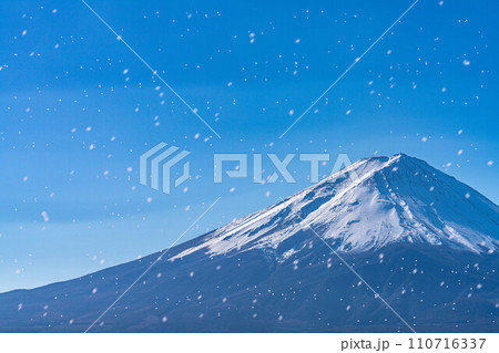 【桜素材】桜吹雪舞う河口湖から見た富士山【山梨県】 110716337