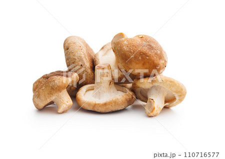 Fresh shiitake mushrooms isolated on white background. Fresh shiitake mushrooms isolated on white background. 110716577