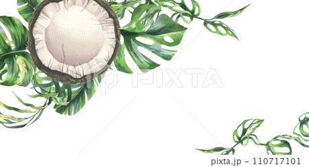 Coconuts whole, halves and pieces with bright, green, tropical palm leaves. Hand drawn watercolor illustration. Frame, template, blank isolated from the background. Coconuts whole, halves and pieces with bright, green, tropical palm leaves. Hand drawn watercolor illustration. Frame, template, blank isolated from the background. 110717101