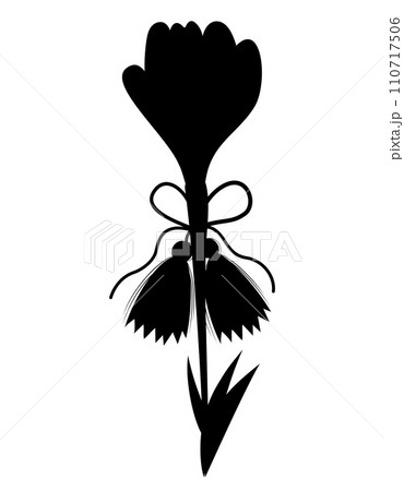 Martisor holiday. Silhouette accessory talisman Martenitsa with spring flower saffron. Symbol for spring beginning. Black hand drawn drawing. Vector illustration . 110717506