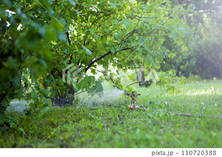 Automatic garden irrigation system watering lawn. Savings of water from sprinkler irrigation system with adjustable head. equipment for maintenance of lawns, gardening. Banner 110720388