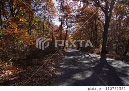 長野県軽井沢　峰の茶屋から白糸ハイランドウエーを通り、旧軽井沢方面に向かう道　2023年10月31日 110721582