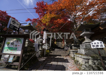 長野県旧軽井沢　県境の熊野神社付近　2023年10月31日 110721598